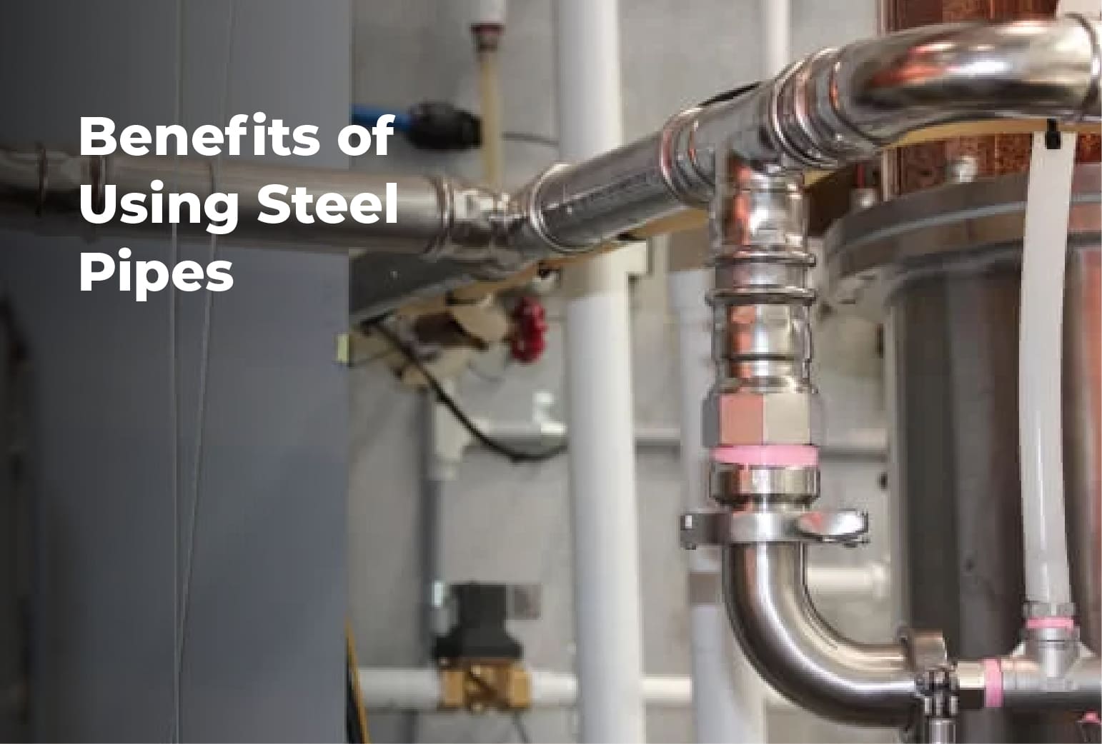 Blog Details Thumbnail